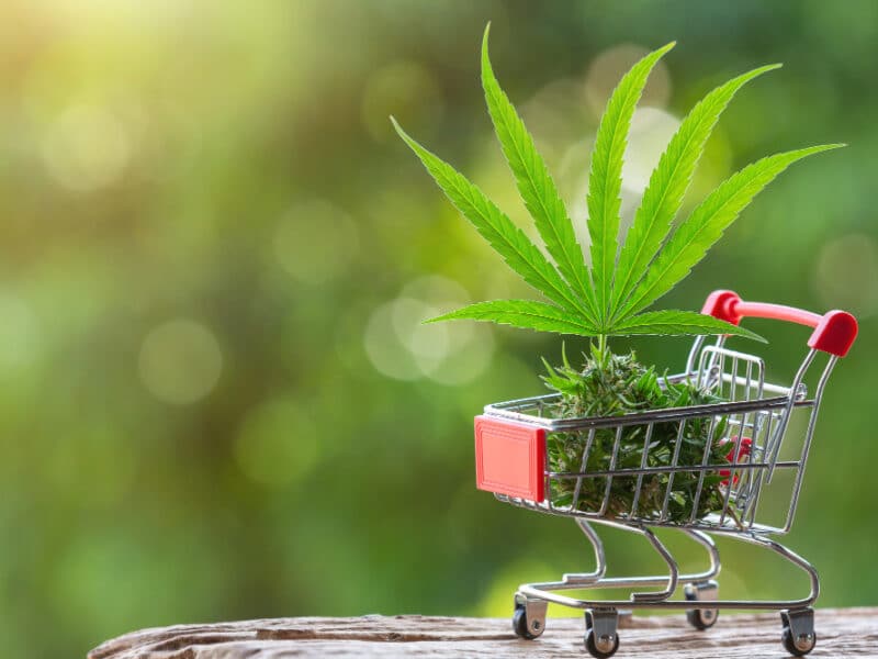 achat de cbd en France